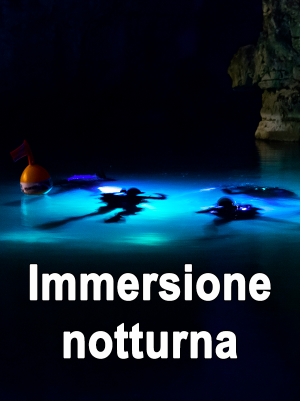 Immersione notturna