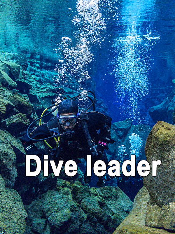 Corso dive leader terzo grado sub